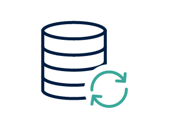 年2回の自動アップグレード