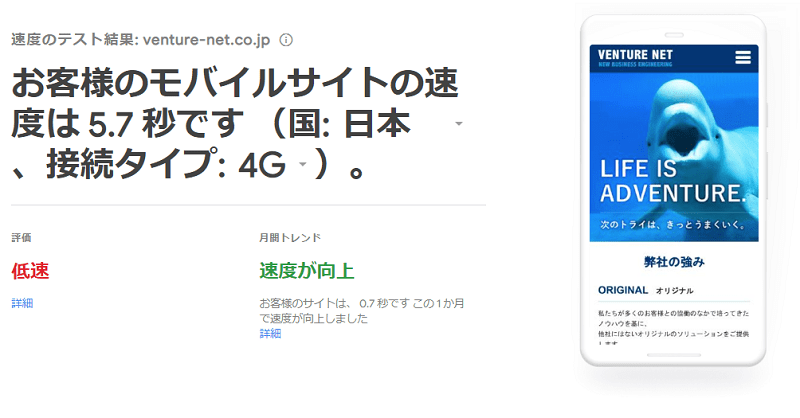 Testmysite-SEO
